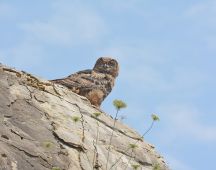 24 Landeplatz hoch oben